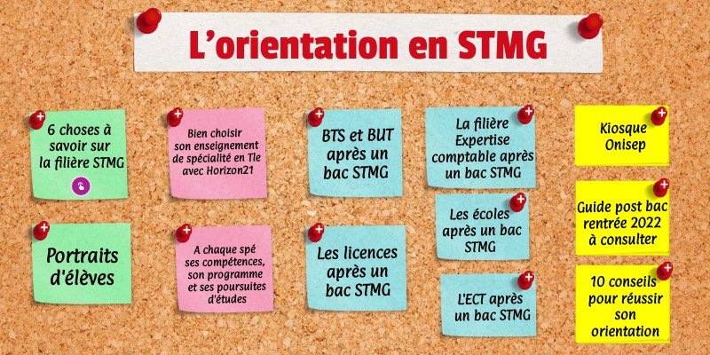 Peut On Passer En Stmg Avec 8 De Moyenne Orientation en STMG