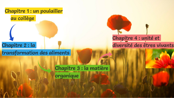 Cours 6e 2020 2021 by tacchisvt on Genially