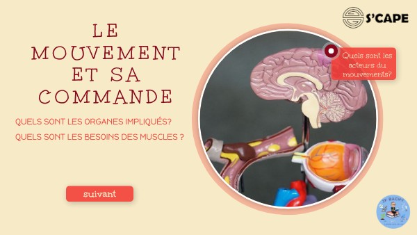 Svt 5e Le Mouvement Et Sa Commande By Bachy On Genially
