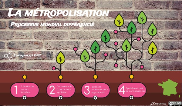 La métropolisation, processus mondial différencié