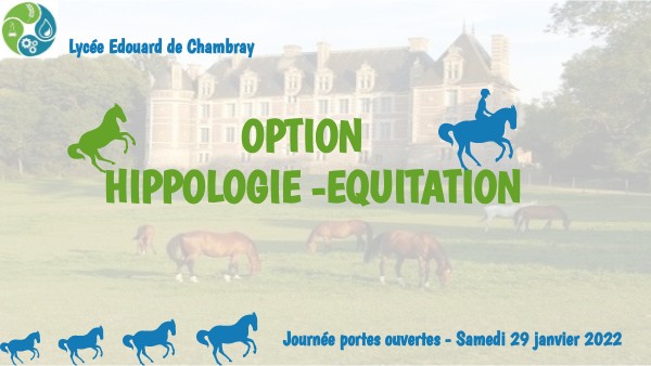 Présentation de l'option hippologie équitation