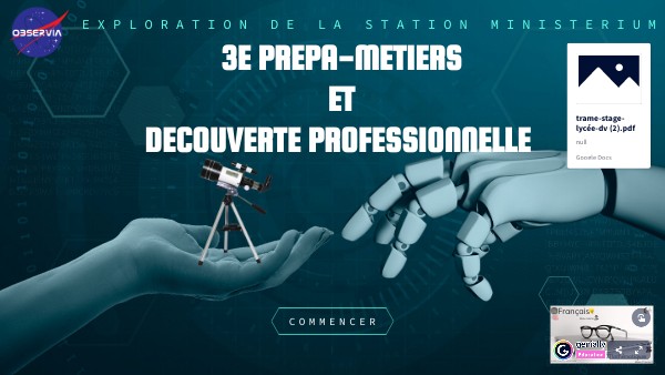 La découverte professionnelle