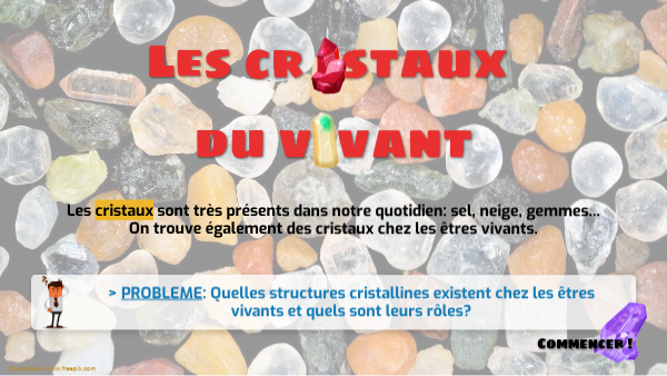 Cristaux Page De Garde Les cristaux du vivant