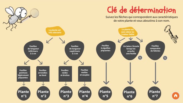 Clé détermination