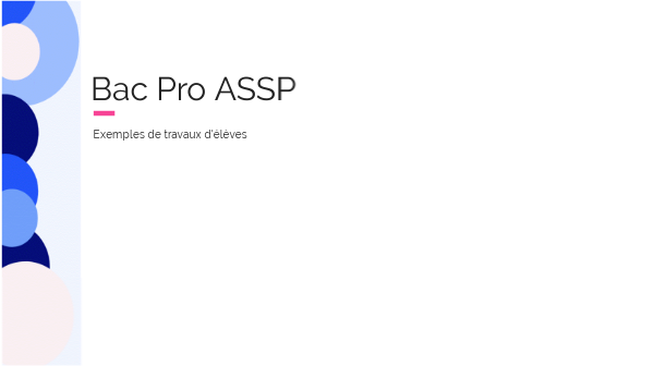 Bac Pro ASSP