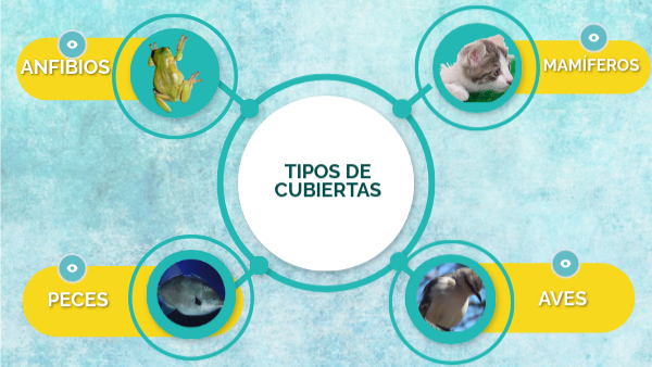 TIPOS DE CUBIERTAS by AcevedoGainza on Genially