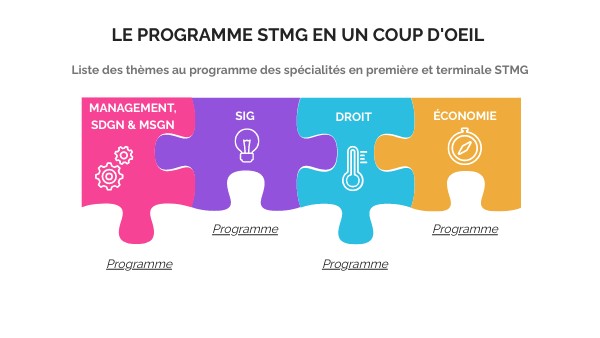 Programme STMG