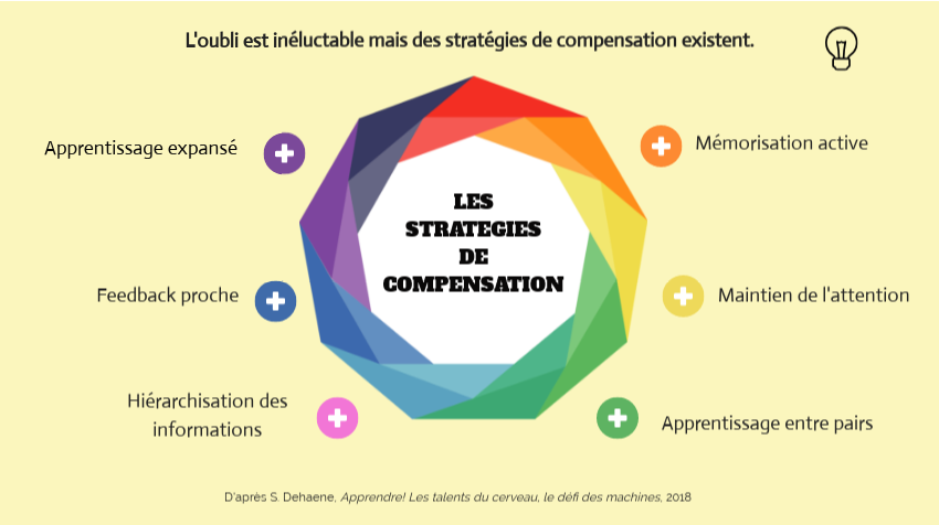 Apprendre Et Enseigner Avec Les Sciences Cognitives sciences cognitives by nathalie.verstraete on Genially