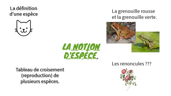 Notion D Espece Svt 6eme view.genial.ly