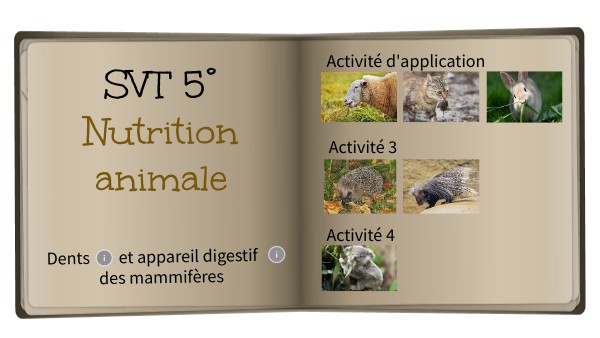 Nutrition animale - SVT 5ème