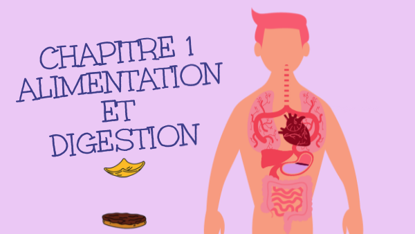Page De Garde Alimentation Et Pratiques Alimentation Chez L'humain Ch1 -Alimentation et digestion