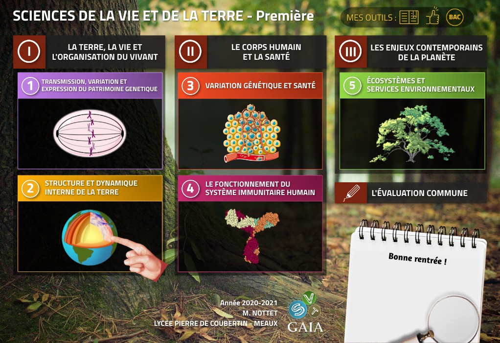 Variation Genetique Et Sante 1ere S Controle Corrigé