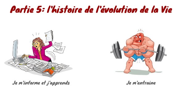 Copie - Partie 5 L'évolution de la vie