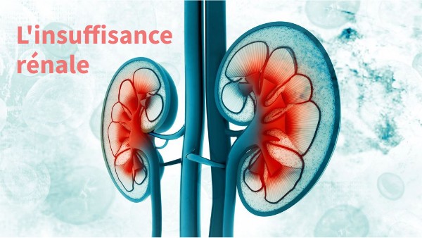 Insuffisance Renale Moderee , Vivre avec une insuffisance rénale – OUVYJ