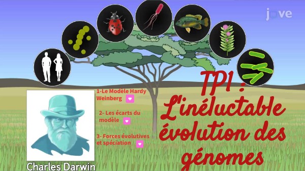 L'inéluctable évolution des génomes