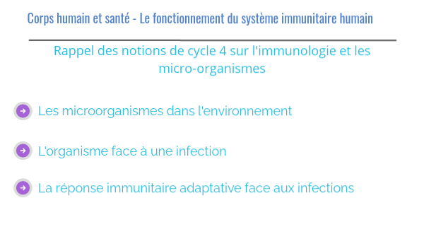 L’organisme face à l’infection