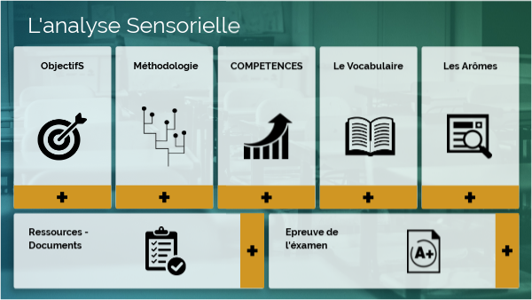 Quels Sont Les Objectifs De L’Analyse Sensorielle – DGDE
