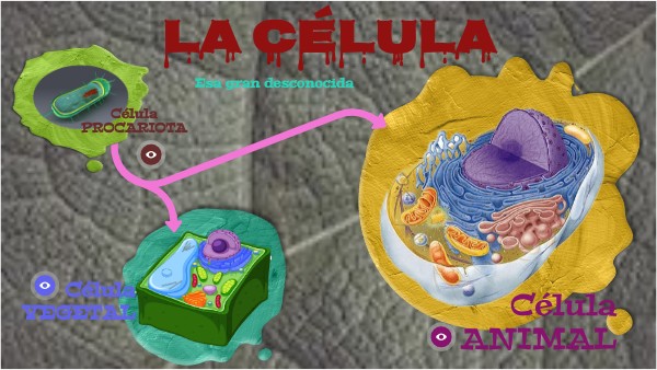Ribosomas Estructura