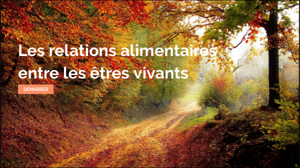 Ce2 Les Relations Alimentaires Entre Les Etres Vivants By Coraline Wodling On Genially