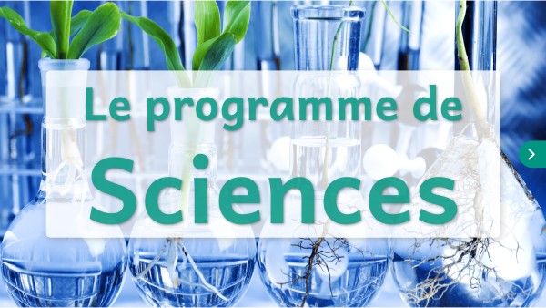 Programme De Sciences Primaire: Programme Sciences École Primaire – JWAVJN