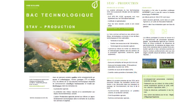 le Bac Techno STAV (2 options) - Lycée de Pixérécourt