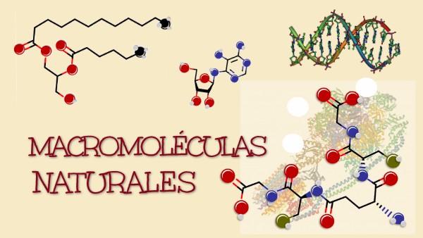 Macromoléculas naturales
