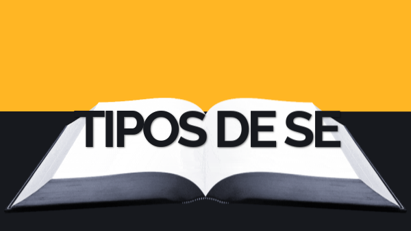 Tipos de SE.