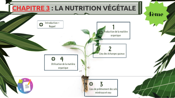 4è_chap3_nutritionplante