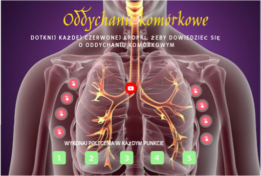 Oddychanie wewnątrzkomórkowe 7
