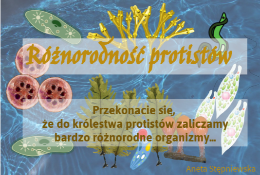 Protisty 5