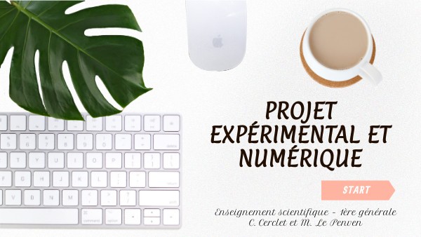 Projet - Enseignement Scientifique 1ère G1