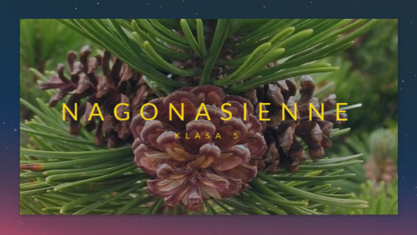 Jakie Sa Rosliny Nagonasienne - NAGONASIENNE