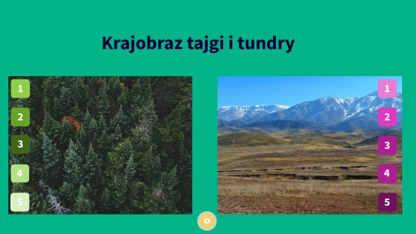 Tajga i tundra
