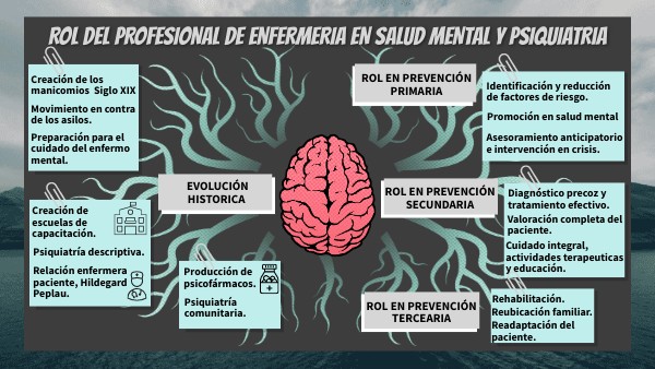 Rol De Enfermeria En Salud Mental Diapositivas