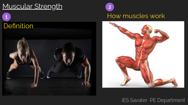 Muscular Strength 4ESO