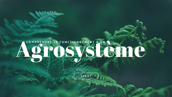 schéma fonctionnement d'un agrosystème