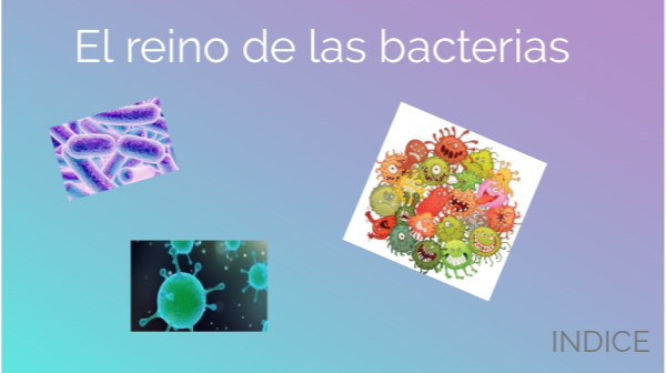 El reino de las bacterias
