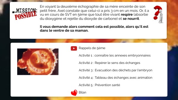 Nutrition Embryon By Eleonore Laulanet On Genially