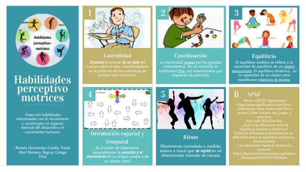 Habilidades Perceptivas Esquema Motor Habilidad Y Destreza Motriz