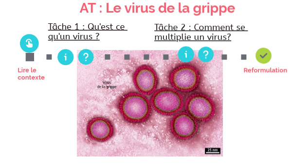 AT virus de la grippe