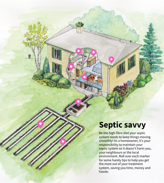 Stay Septic Savvy!