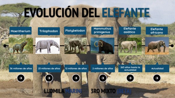 Evolución del elefante - Ludmila Marini - 3ro Mixto (beta)