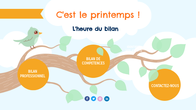 Offre Bilans Trajectio