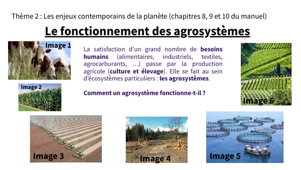 2° Act1 Agrosystème 2023-2024