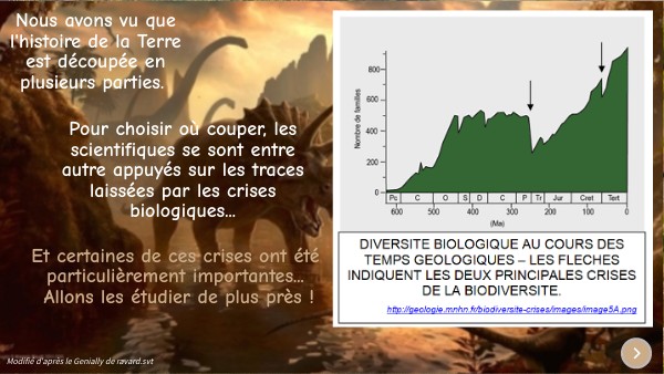 3E Chp6 Activité 3 - La crise Crétacé Tertiaire -65 Ma