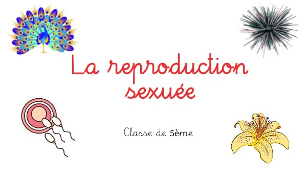 reproduction sexuée 5eme