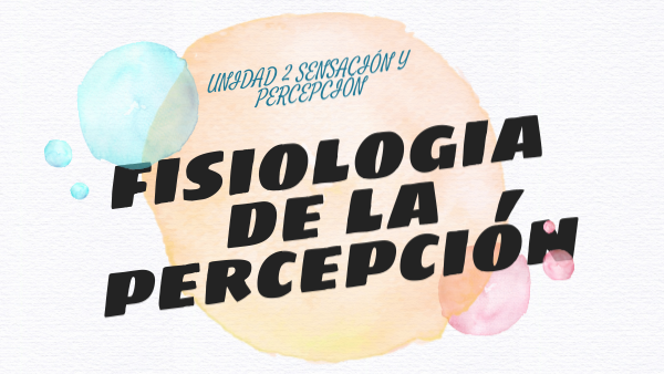 Fisiología de la percepción