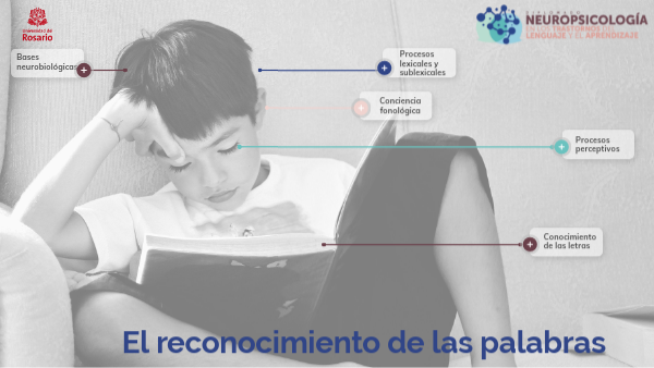 Componentes en el reconocimiento palabra