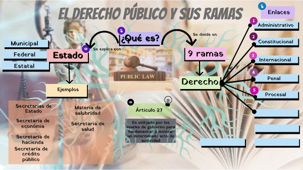 El derecho público y sus ramas