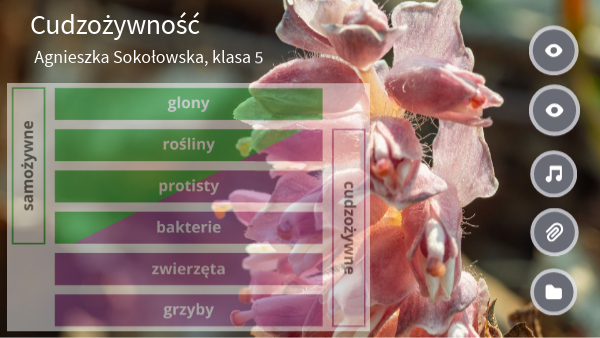 Cudzożywność, klasa 5